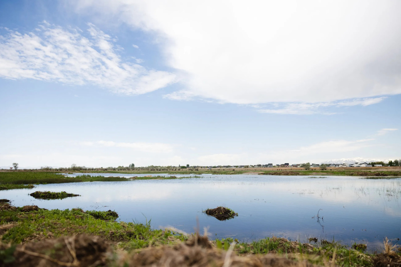New wetlands are seen following the completion of the Freeport Drain project at the Great Salt Lake Shorelands Preserve in Layton on Wednesday, May 17, 2023. Ryan Sun, Deseret News